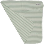 Cuddly blanket Soft green