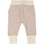 Baby pant Burgundy stripe 50/56