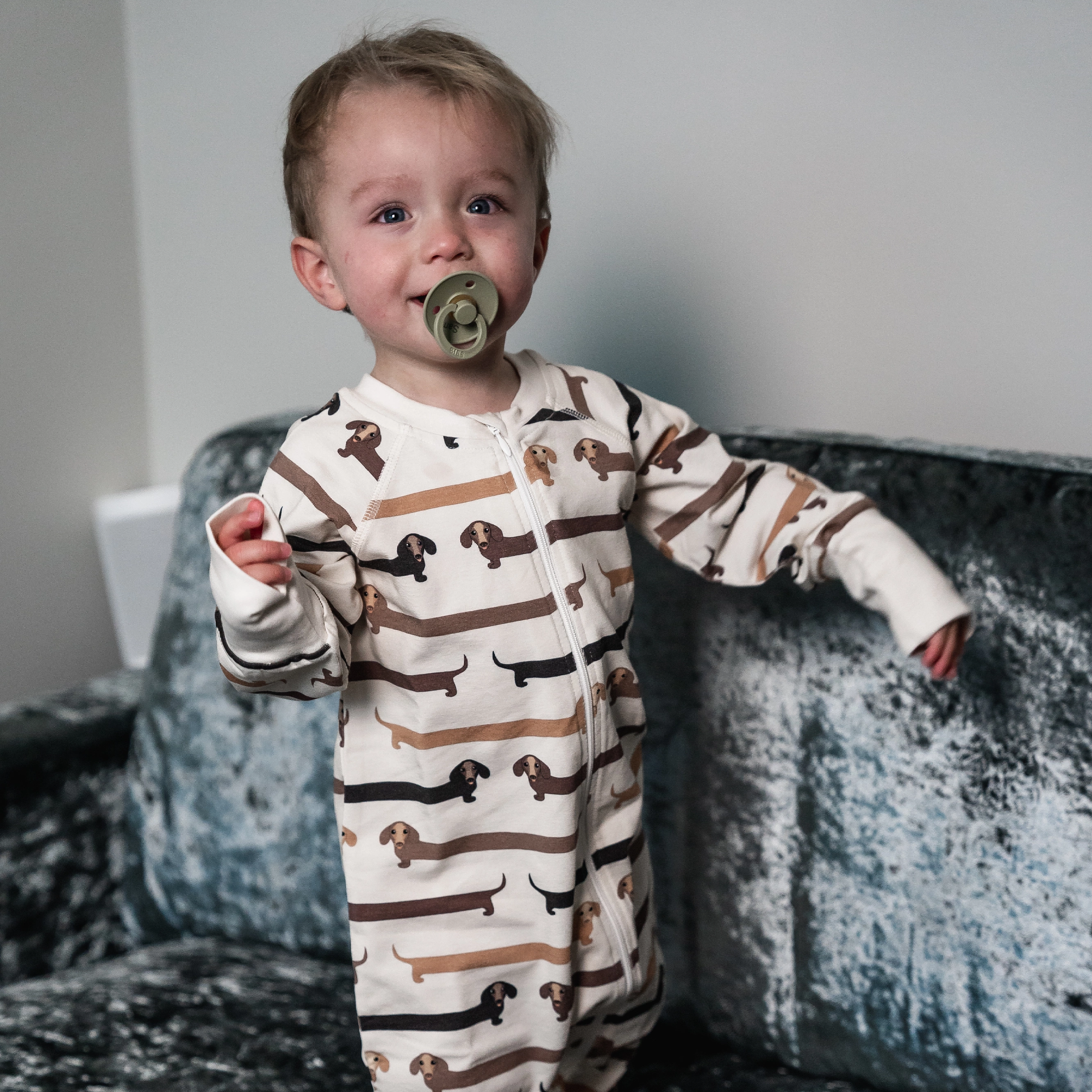 Bamboo two way zip pyjamas Sausage dogs