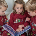 Pettson and Findus Two piece pyjamas Dark red
