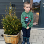 Knitted crew neck sweater Mossgreen  134/140