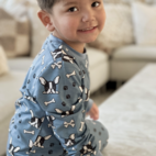 Zweiteiliger Pyjama Bambu Bulldog Blau