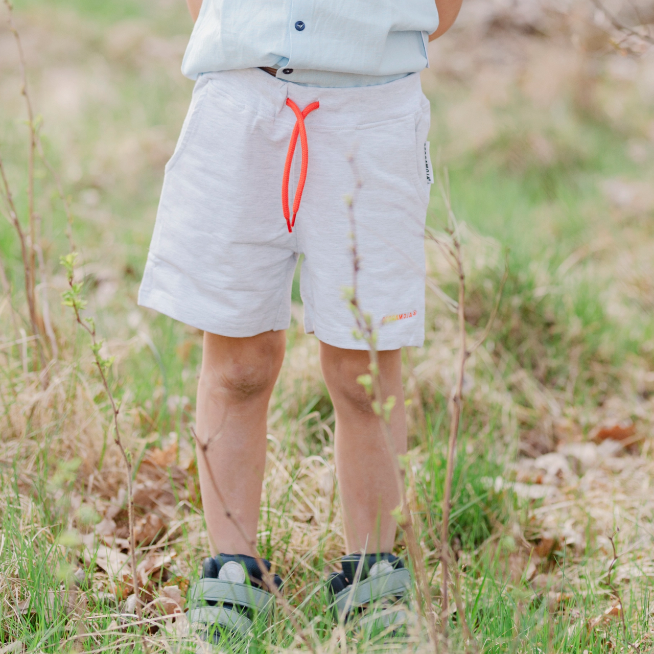 College shorts Grey
