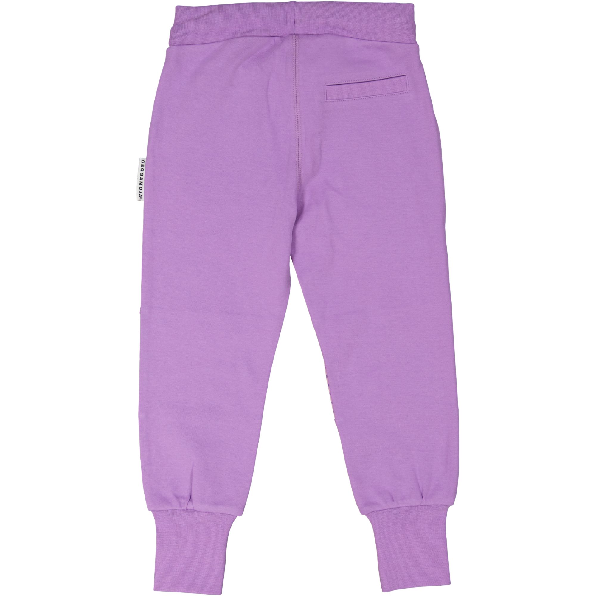 Long pants L.purple/purple 16