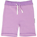 Shorts L.purple/purple  50/56