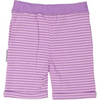 Shorts L.purple/purple  86/92