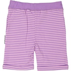Shorts L.purple/purple 16
