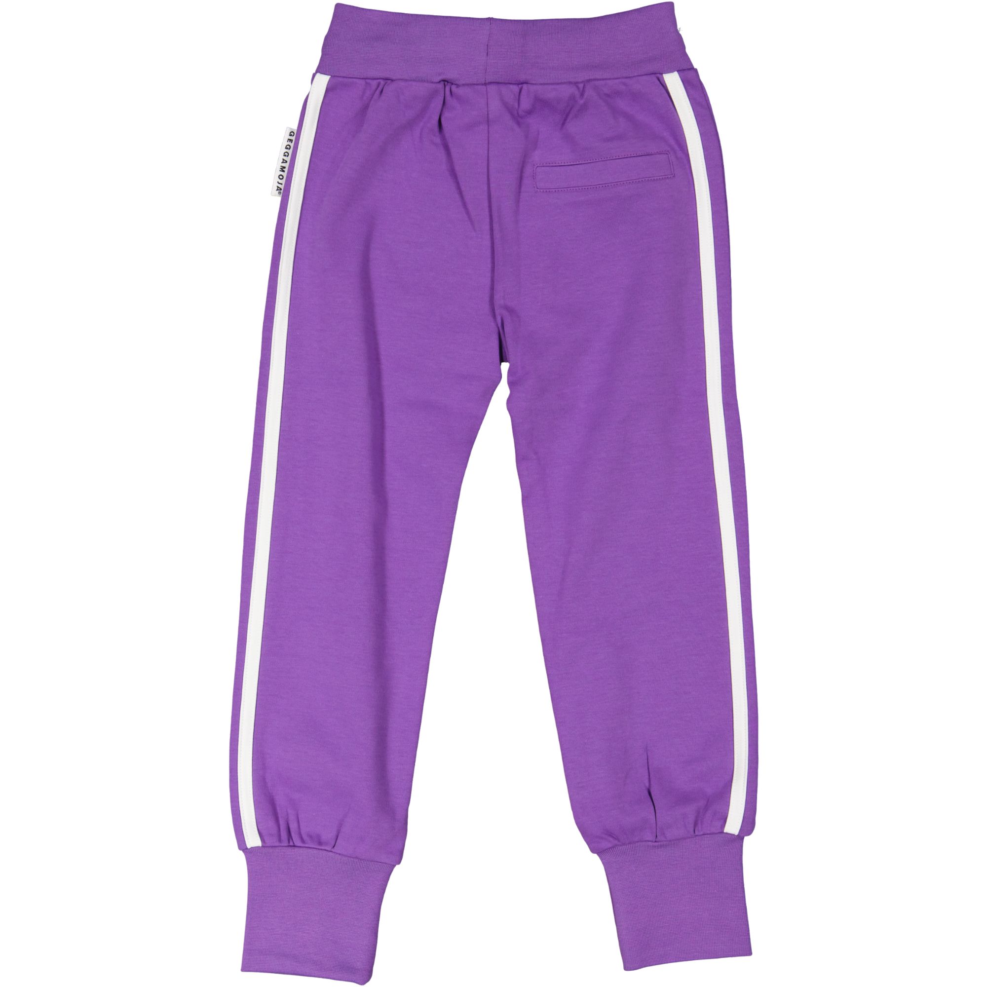 Sweat pants Purple